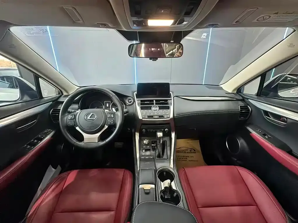 Lexus NX 2021 из CN, фото 9