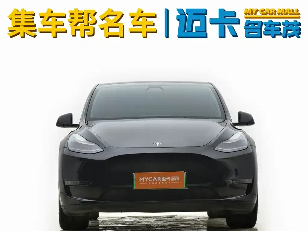Tesla Model Y 2021 из CN, фото 2