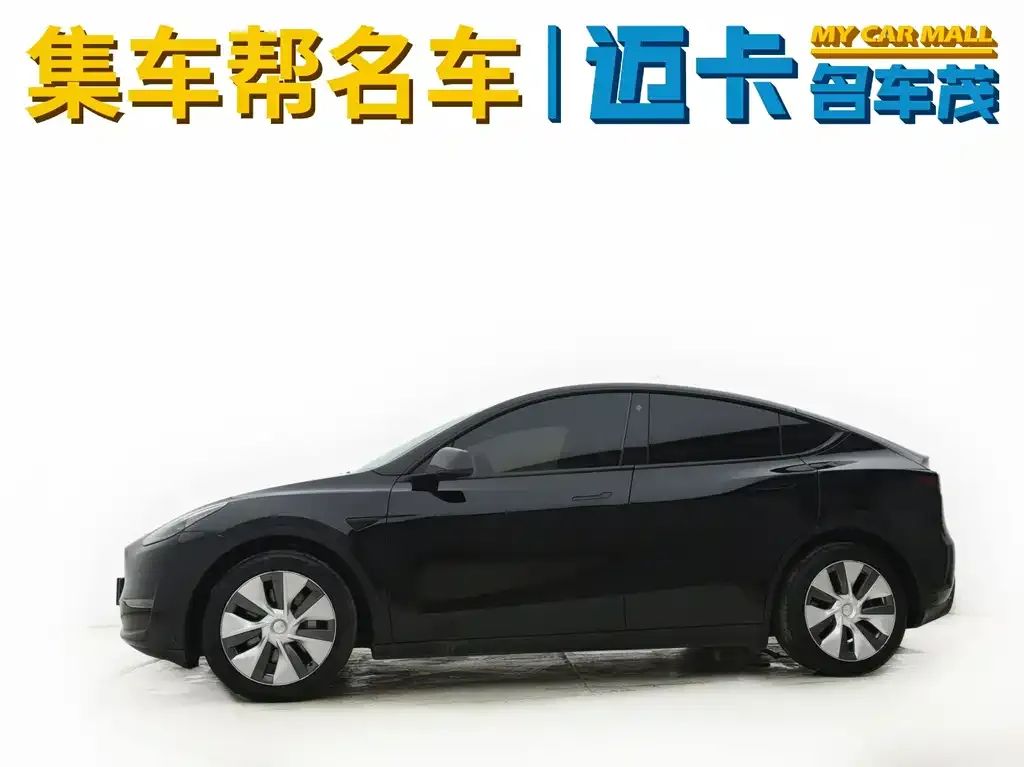 Tesla Model Y 2021 из CN, фото 3