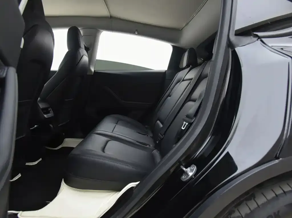 Tesla Model Y 2021 из CN, фото 7