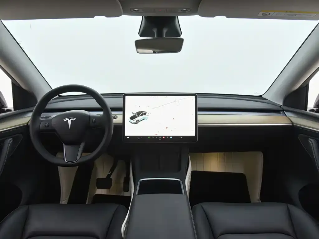 Tesla Model Y 2021 из CN, фото 9