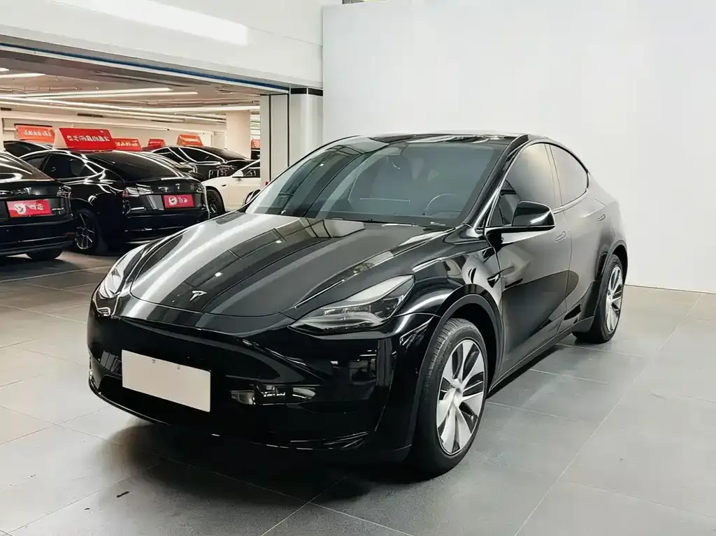 Tesla Model Y — фото 1