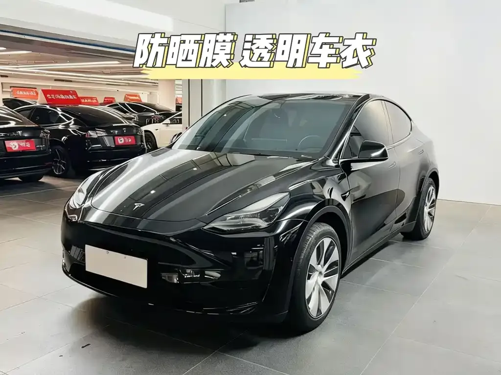 Tesla Model Y — фото 2