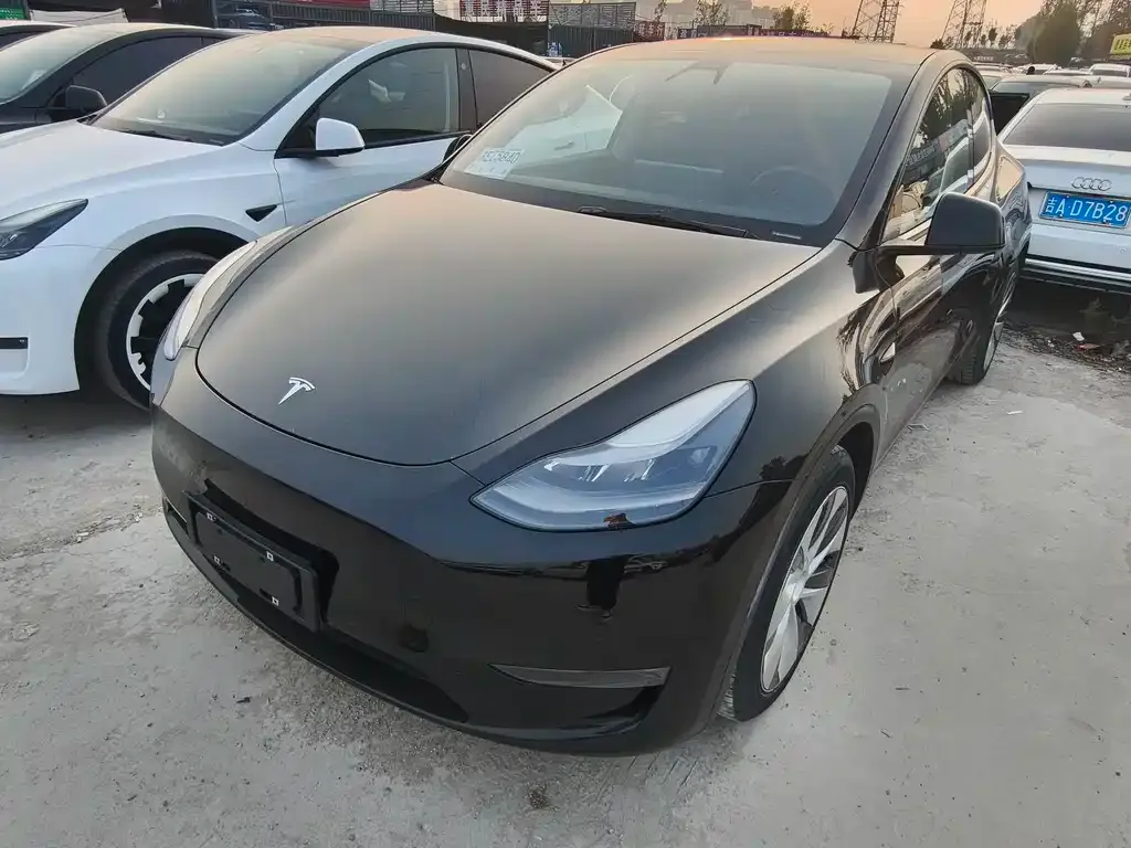 Tesla Model Y 2021 из CN, фото 1