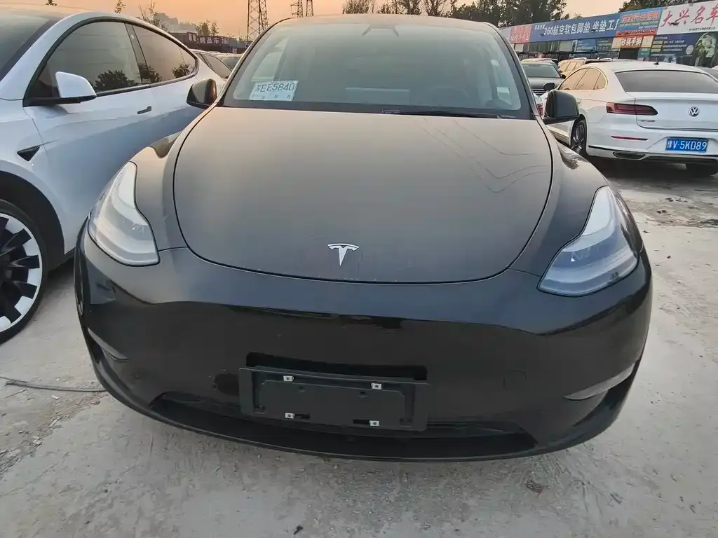 Tesla Model Y 2021 из CN, фото 2