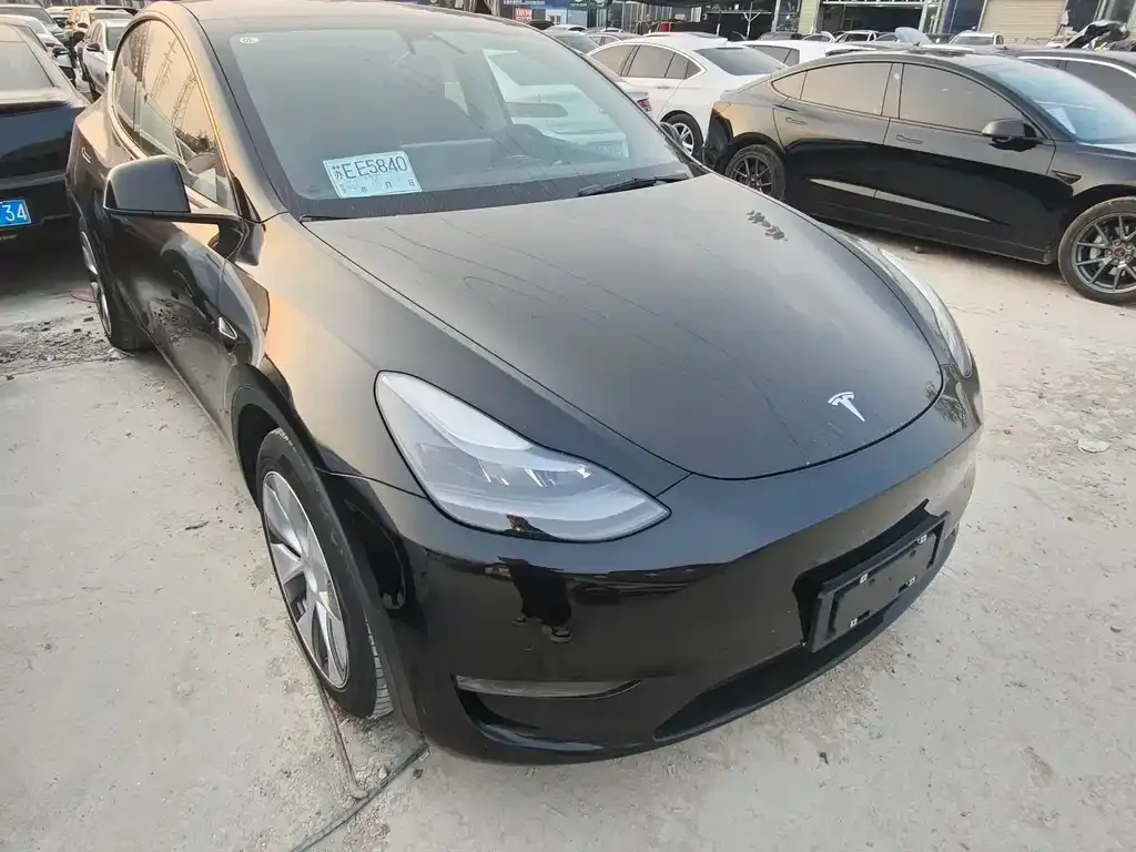 Tesla Model Y 2021 из CN, фото 3