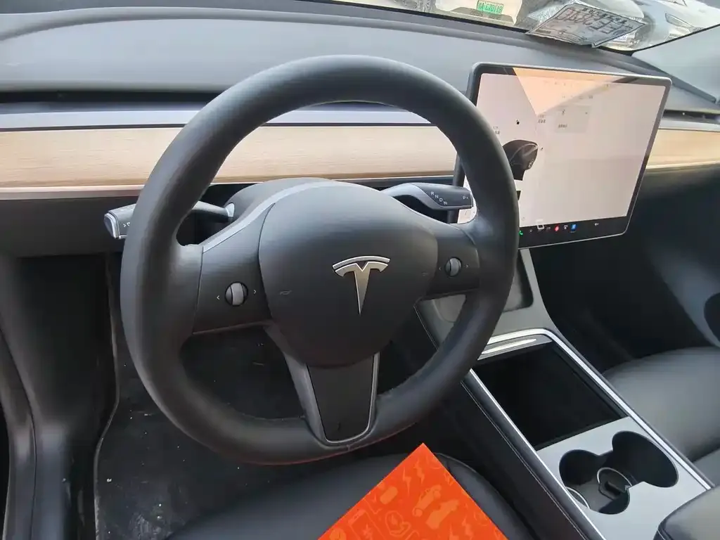 Tesla Model Y 2021 из CN, фото 8