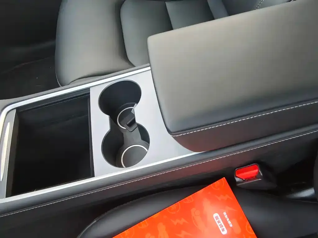 Tesla Model Y 2021 из CN, фото 9