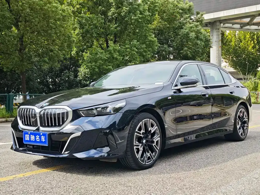 BMW 5 Series 2024 из CN, фото 1