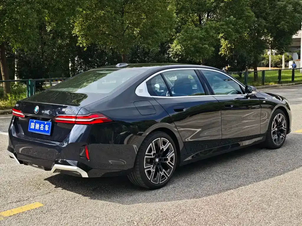 BMW 5 Series 2024 из CN, фото 4