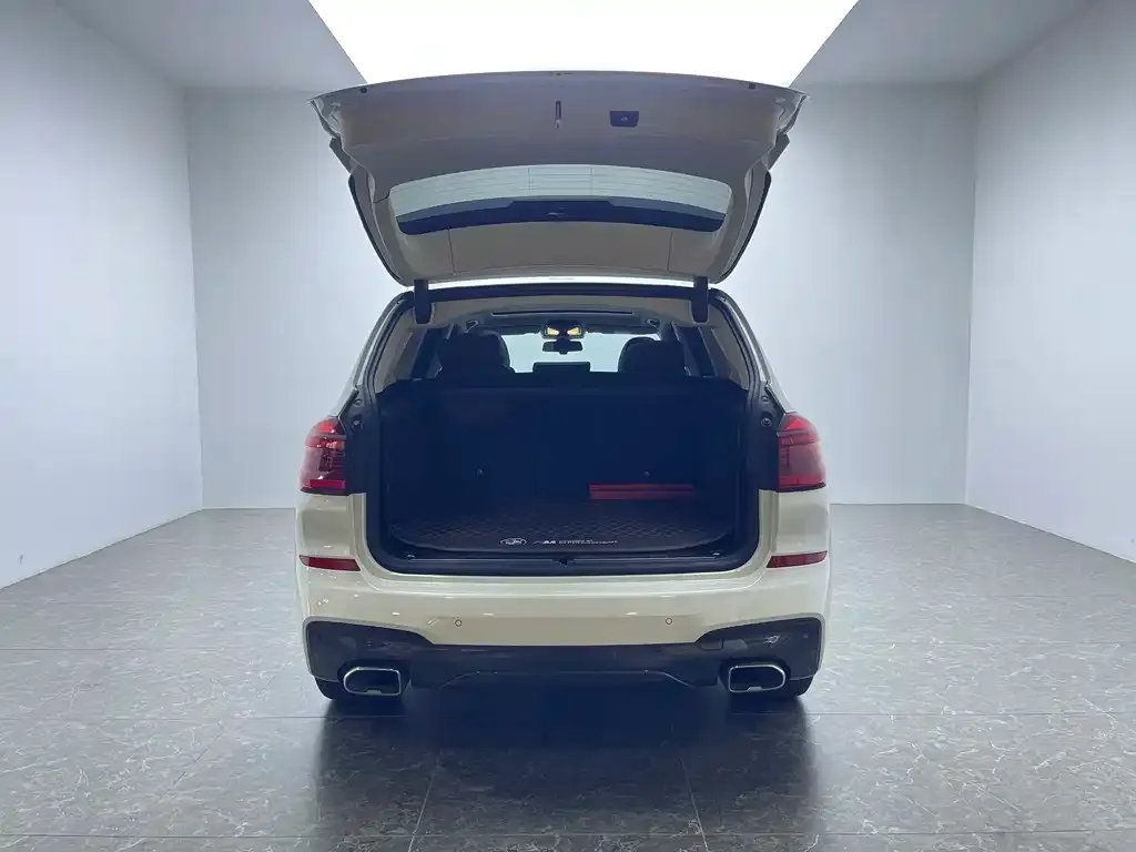 BMW X3 2021 из CN, фото 8