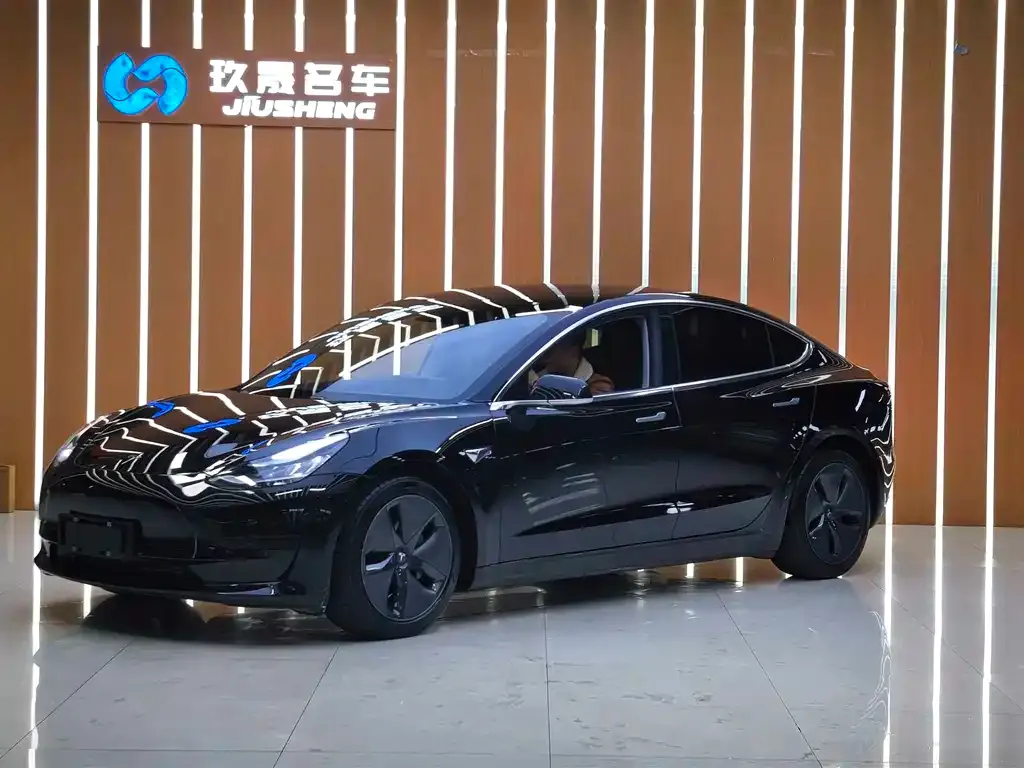 Tesla Model 3 2021 из CN, фото 1