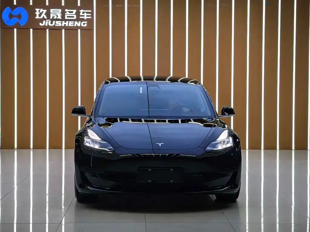 Tesla Model 3 2021 из CN, фото 2