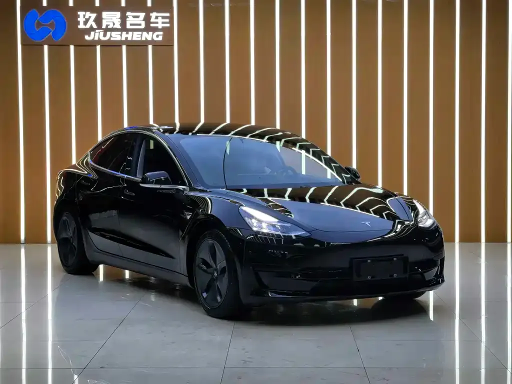 Tesla Model 3 2021 из CN, фото 3