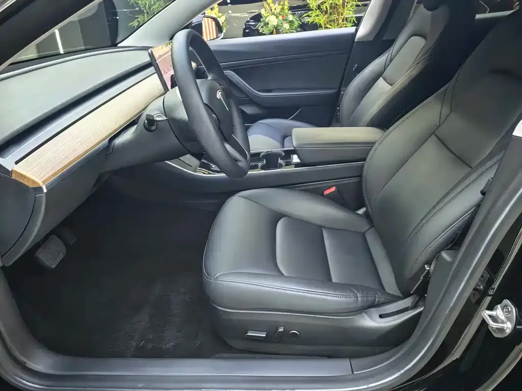 Tesla Model 3 2021 из CN, фото 4
