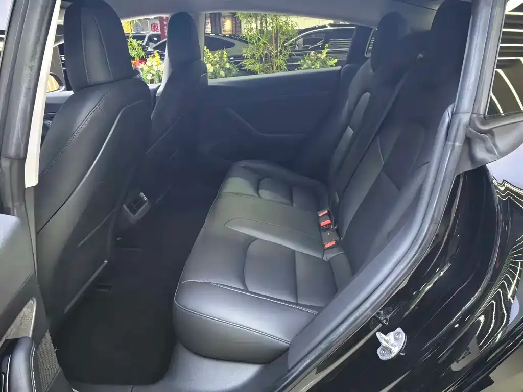 Tesla Model 3 2021 из CN, фото 5