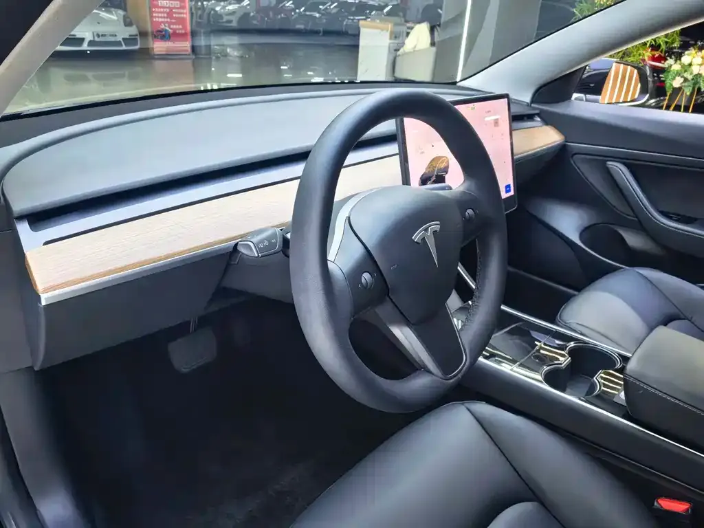 Tesla Model 3 2021 из CN, фото 6