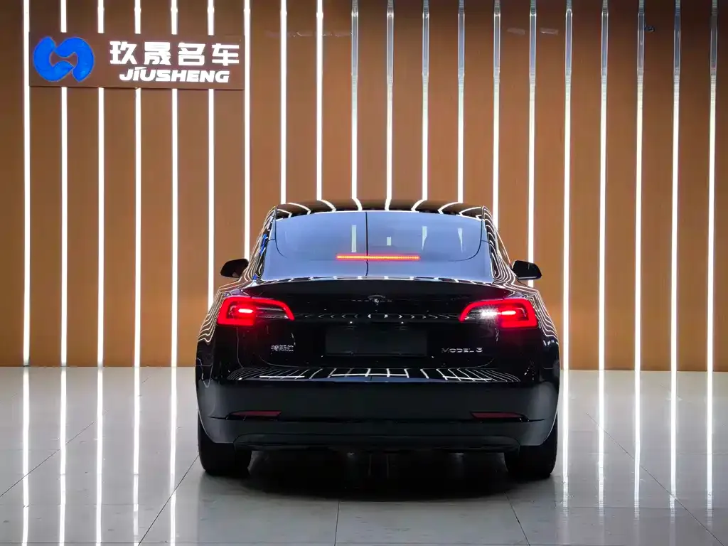 Tesla Model 3 2021 из CN, фото 8