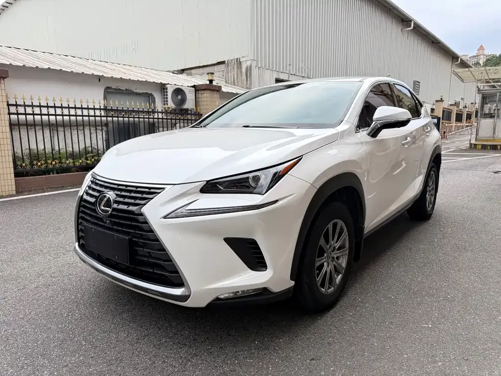 Lexus NX 2021 из CN, фото 1