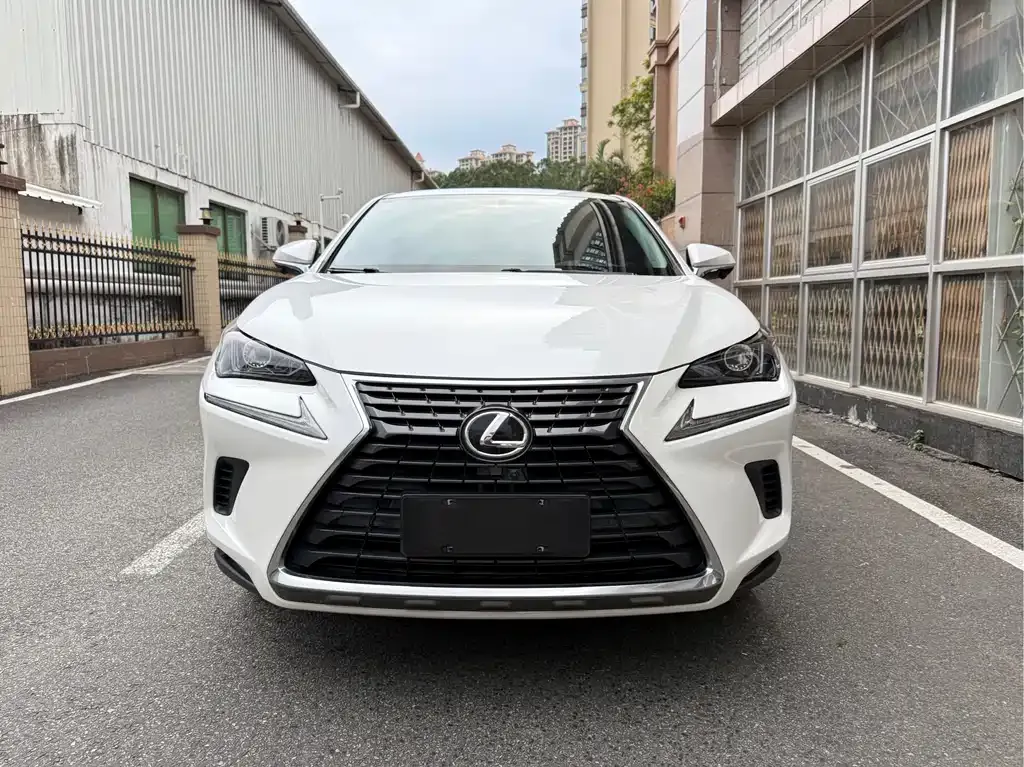 Lexus NX 2021 из CN, фото 2
