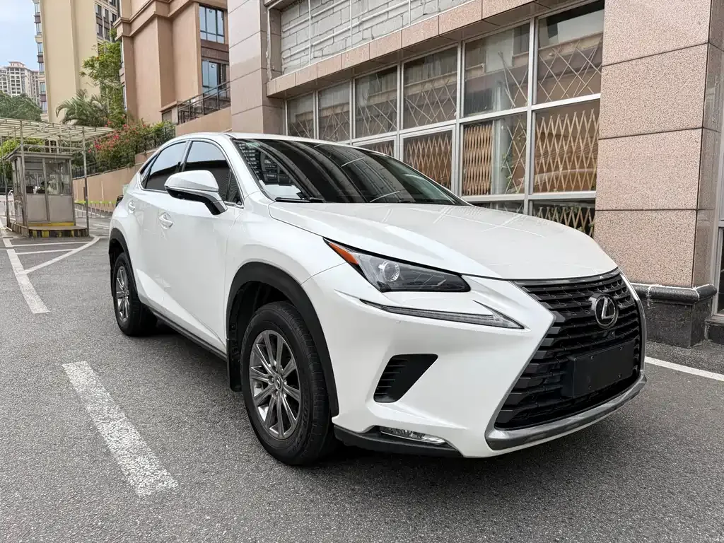 Lexus NX 2021 из CN, фото 3
