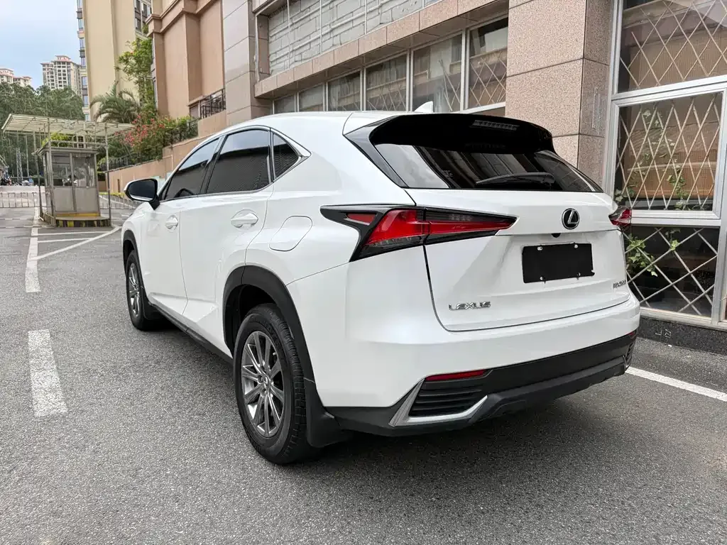 Lexus NX 2021 из CN, фото 4