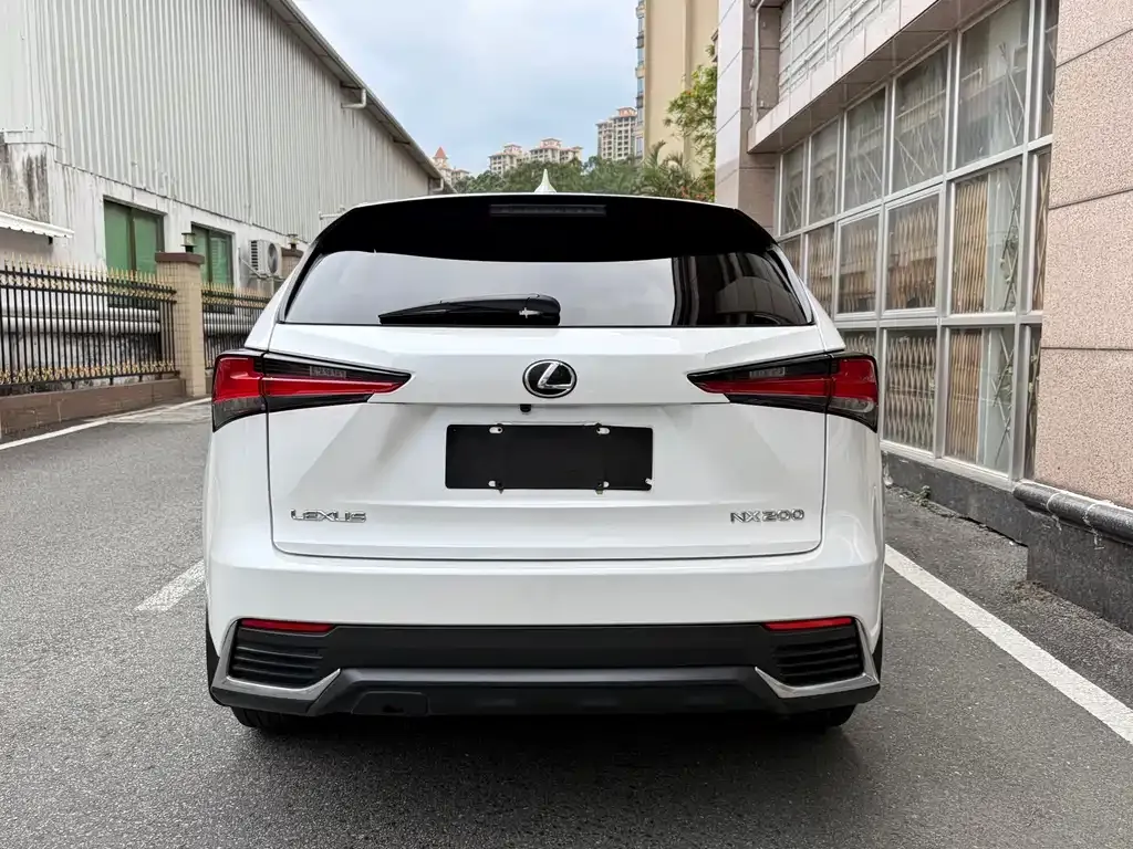 Lexus NX 2021 из CN, фото 5