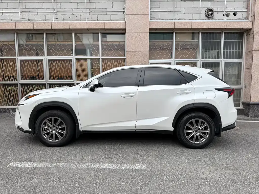 Lexus NX 2021 из CN, фото 7