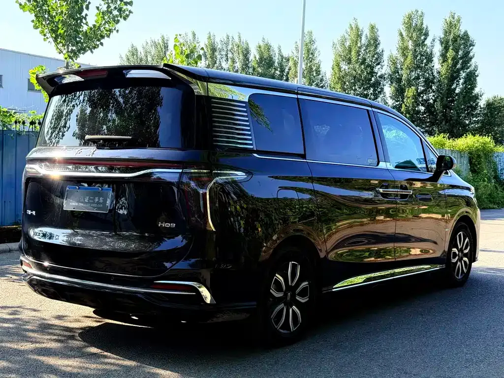 Hongqi HQ9 2023 из CN, фото 7
