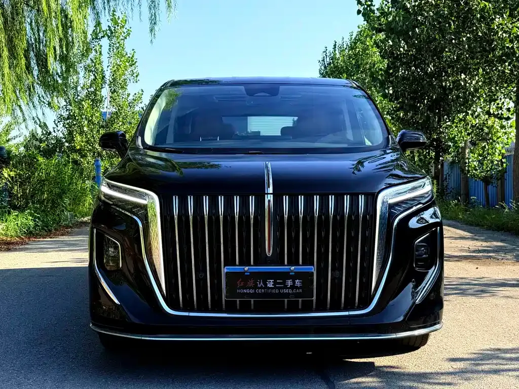 Hongqi HQ9 2023 из CN, фото 8