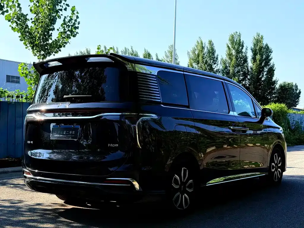 Hongqi HQ9 2023 из CN, фото 9