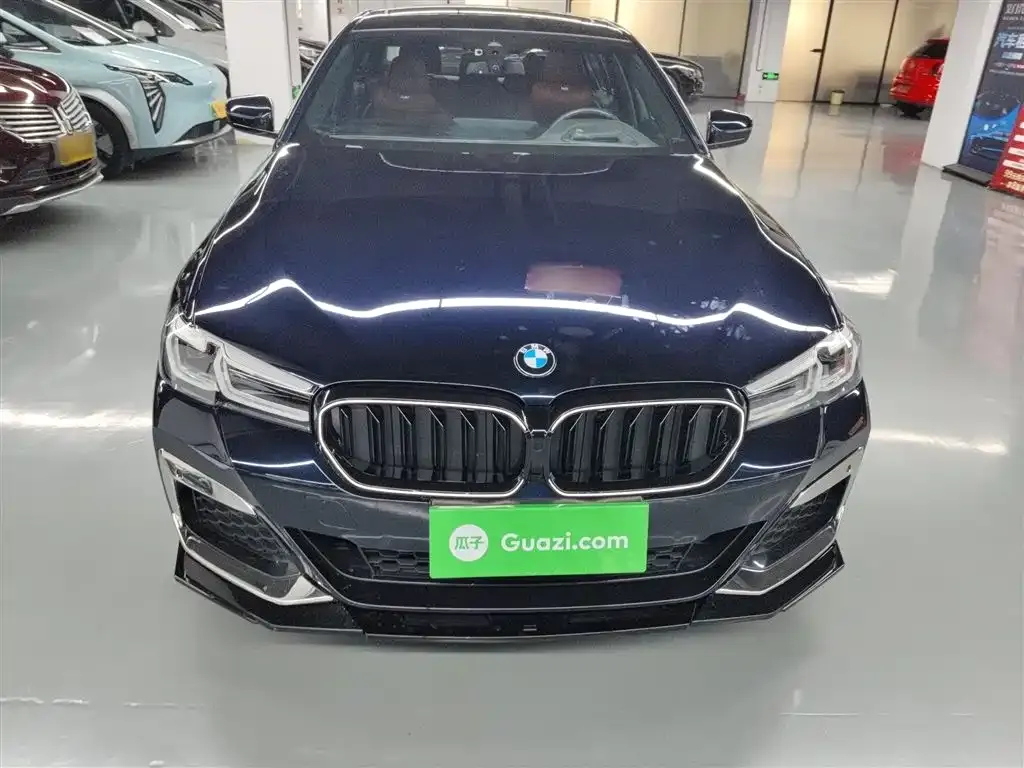 BMW 5 Series 2023 из CN, фото 3