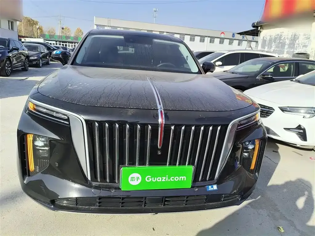 Hongqi E-HS9 2023 из CN, фото 3