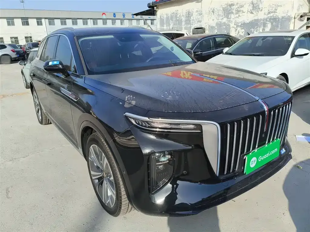 Hongqi E-HS9 2023 из CN, фото 4