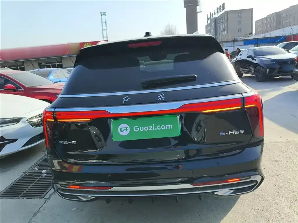 Hongqi E-HS9 2023 из CN, фото 6