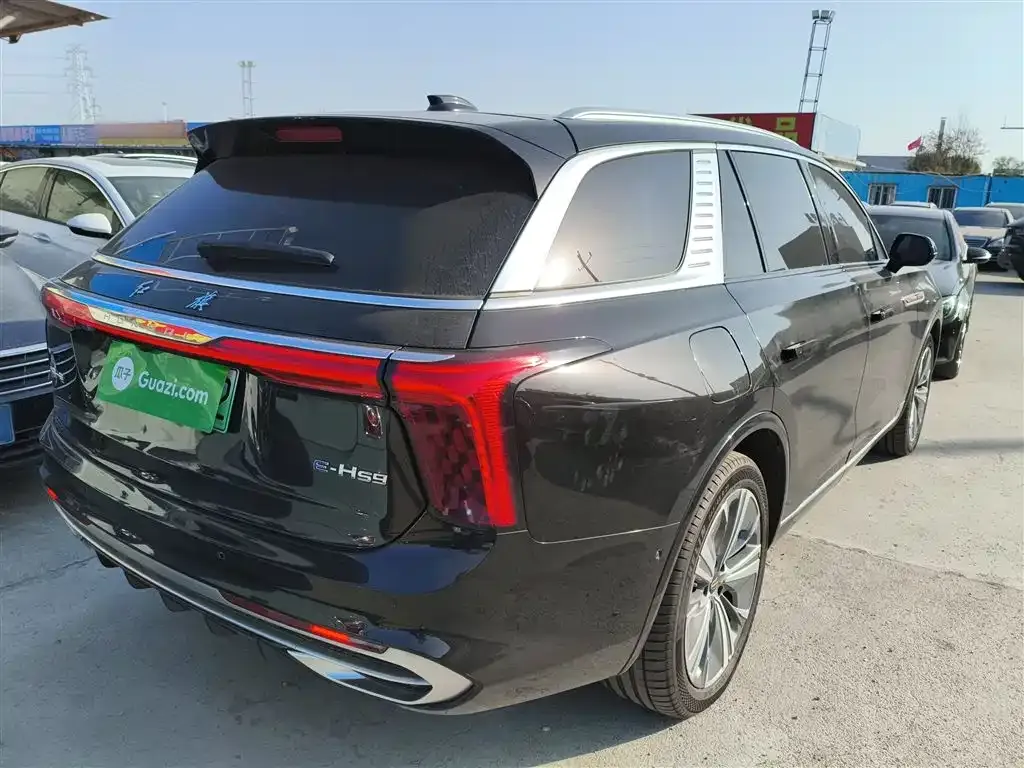 Hongqi E-HS9 2023 из CN, фото 7