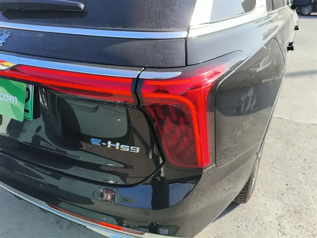 Hongqi E-HS9 2023 из CN, фото 8