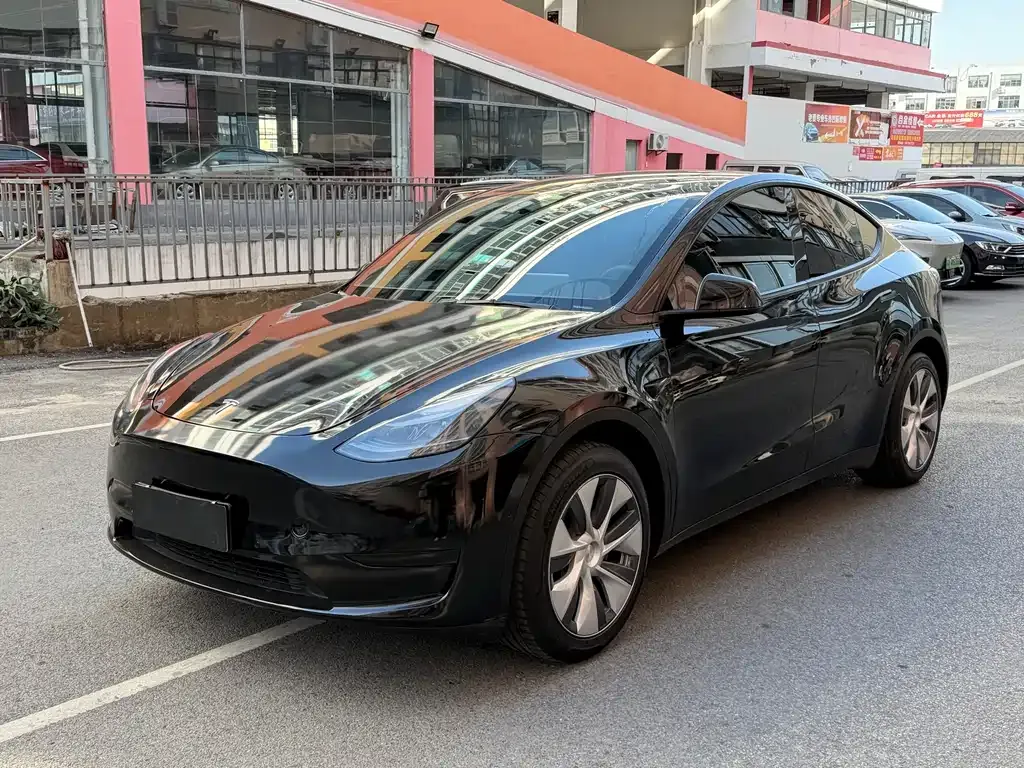 Tesla Model Y 2023 из CN, фото 1
