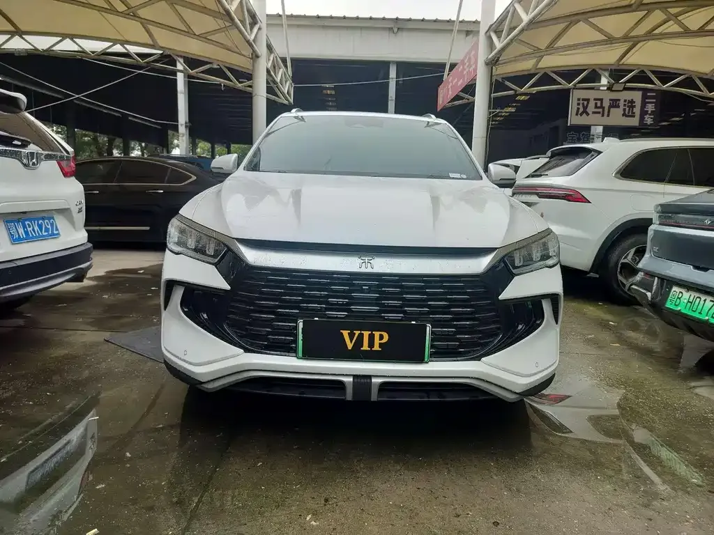 BYD Pro New Energy — фото 2