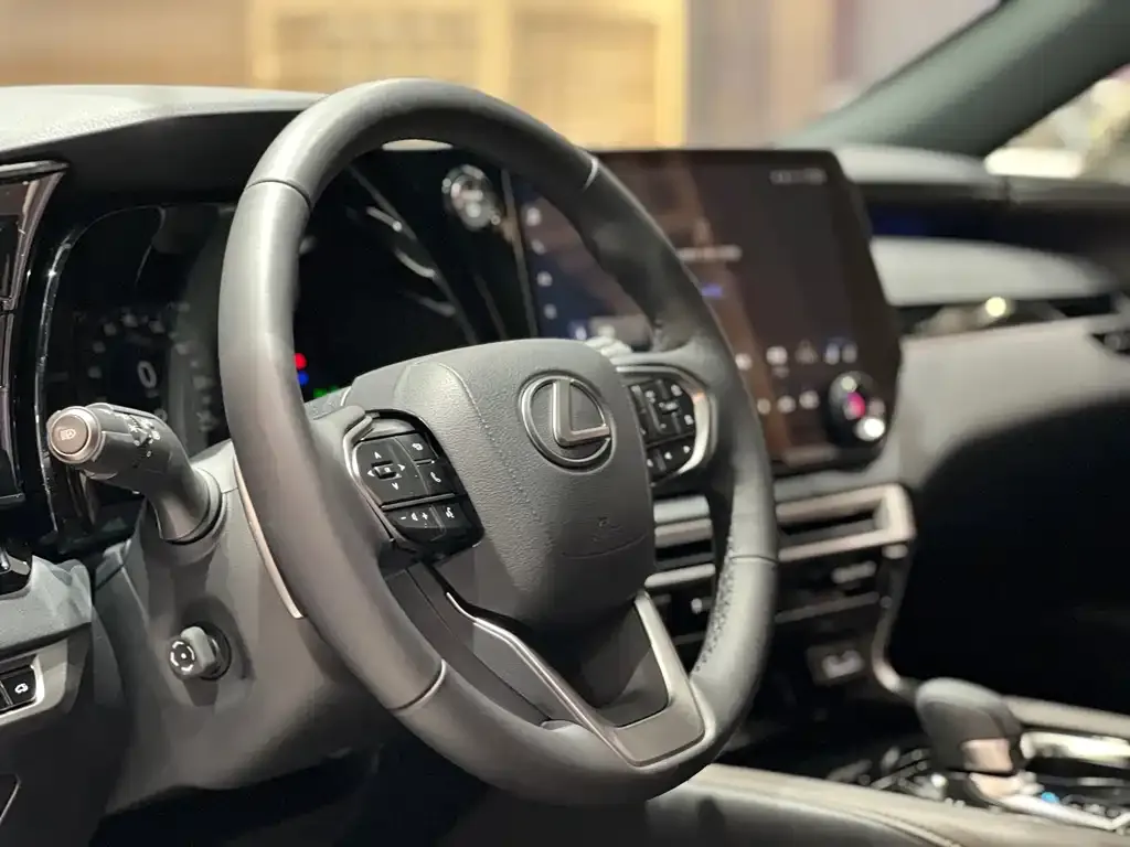 Lexus RX 2023 из CN, фото 10