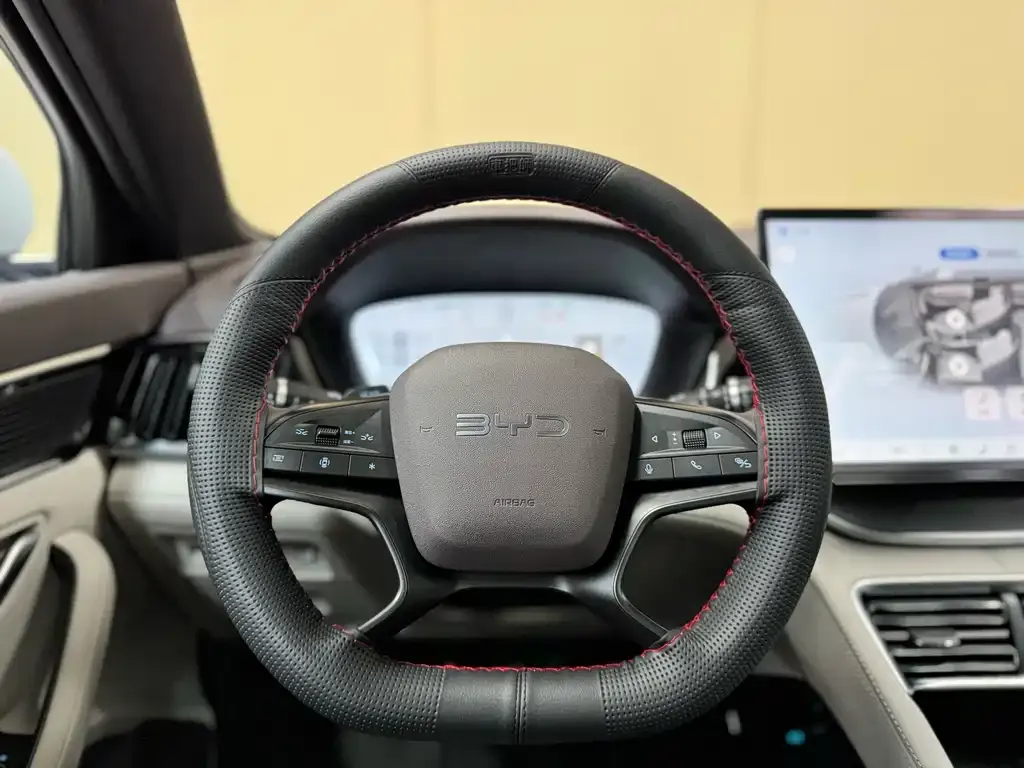 BYD PLUS New Energy — фото 10