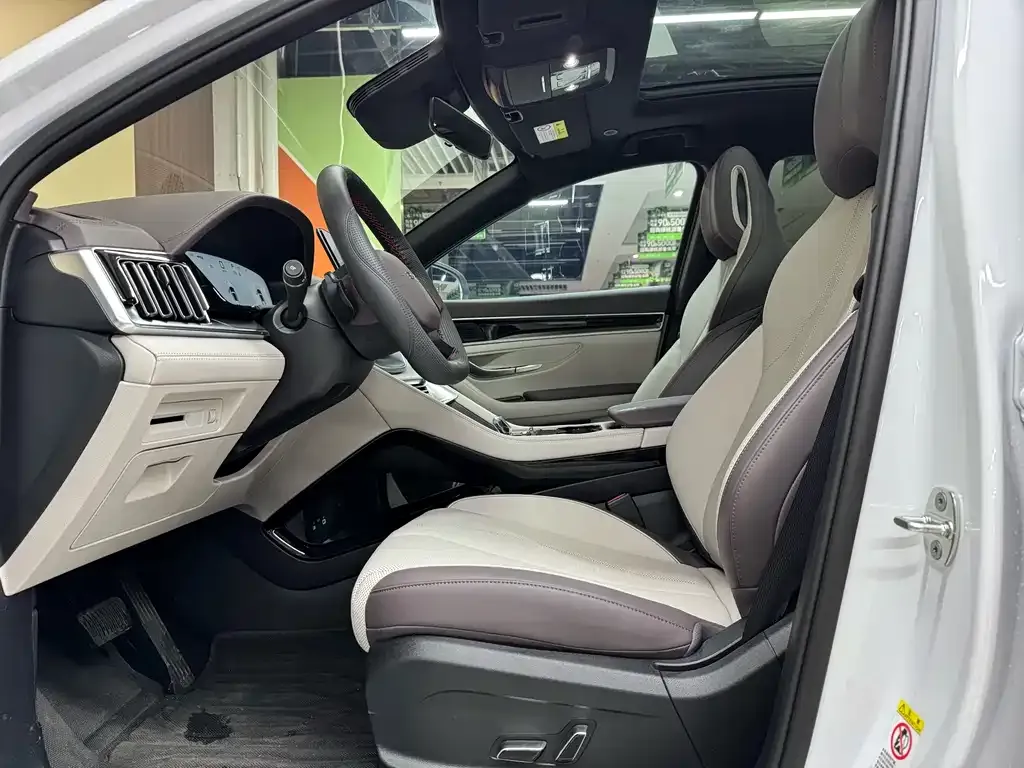 BYD PLUS New Energy — фото 4
