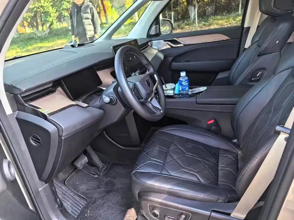 Volvo EM90 2024 из CN, фото 6
