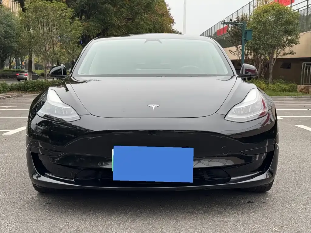 Tesla Model 3 2021 из CN, фото 1