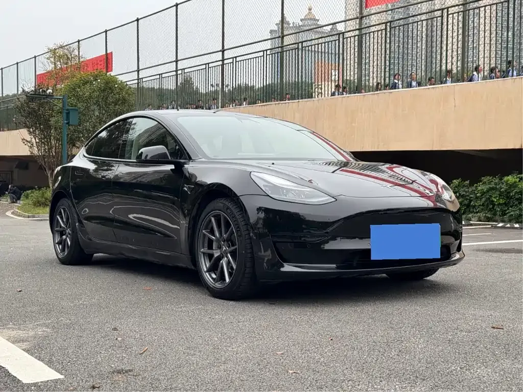Tesla Model 3 2021 из CN, фото 2