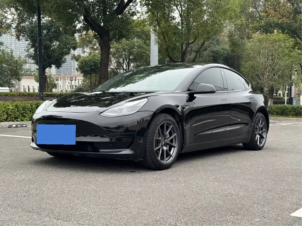 Tesla Model 3 2021 из CN, фото 3