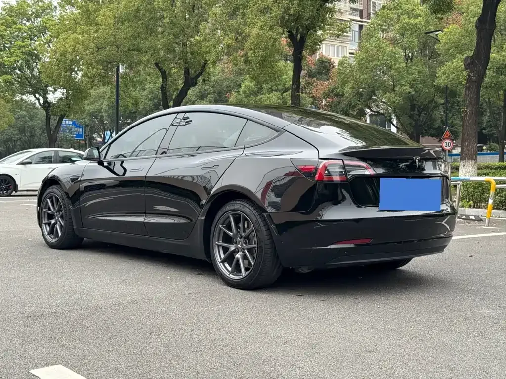 Tesla Model 3 2021 из CN, фото 4