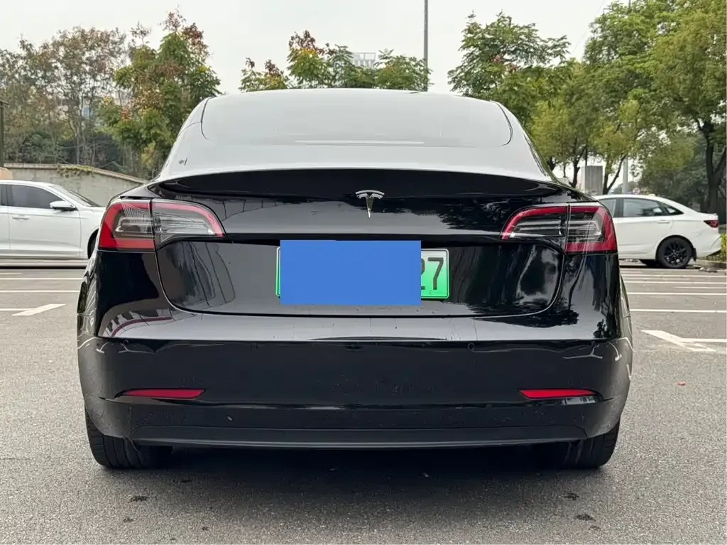 Tesla Model 3 2021 из CN, фото 5