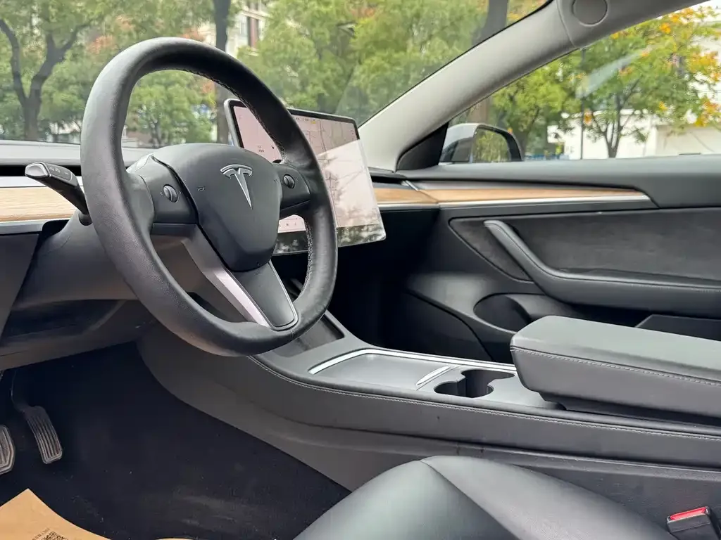 Tesla Model 3 2021 из CN, фото 7
