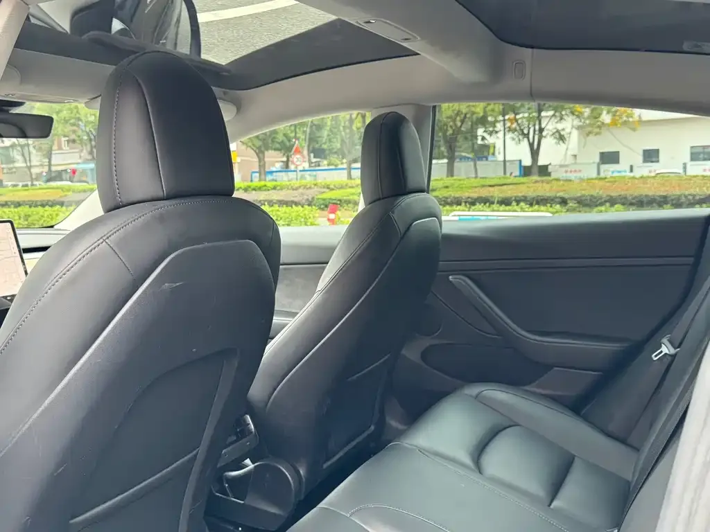 Tesla Model 3 2021 из CN, фото 8